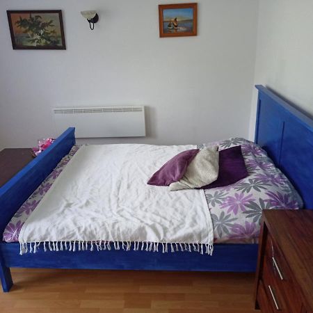 Nice Apartment Near By Capital Of Slovenia リュブリャナ エクステリア 写真