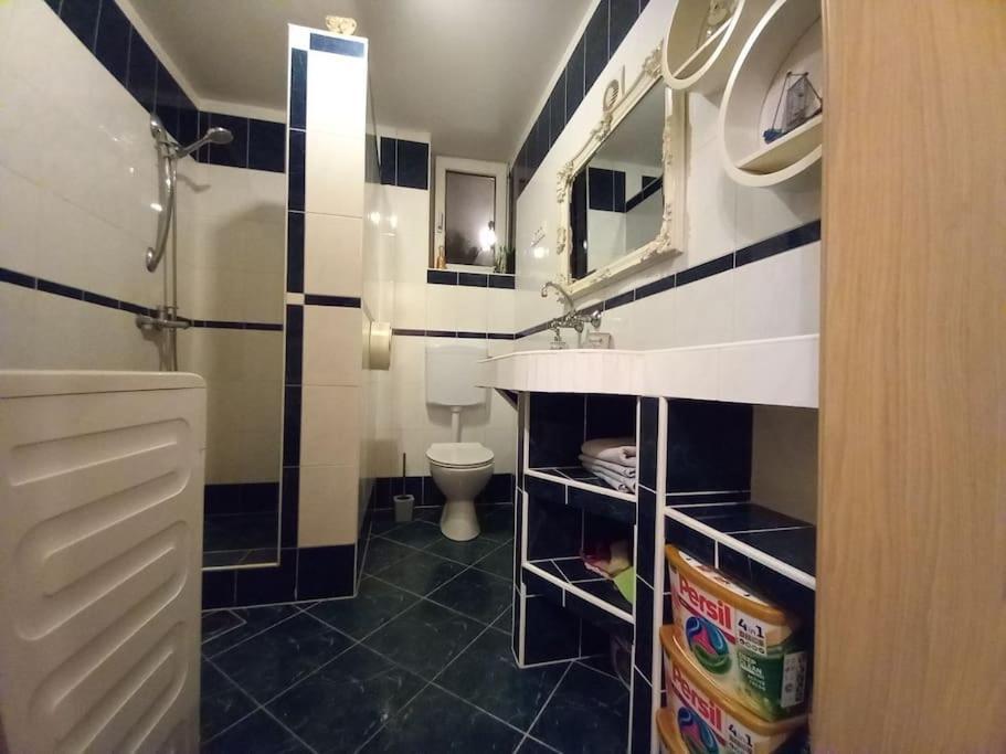 Nice Apartment Near By Capital Of Slovenia リュブリャナ エクステリア 写真