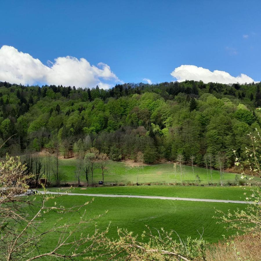 Nice Apartment Near By Capital Of Slovenia リュブリャナ エクステリア 写真