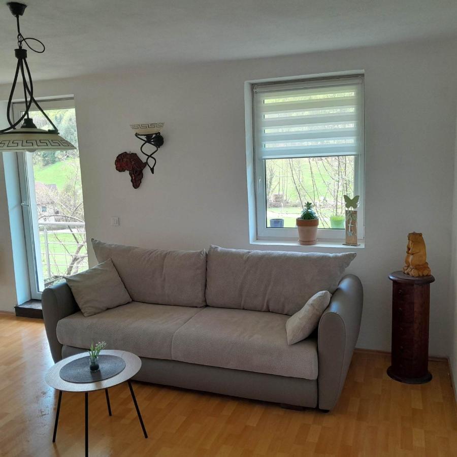 Nice Apartment Near By Capital Of Slovenia リュブリャナ エクステリア 写真